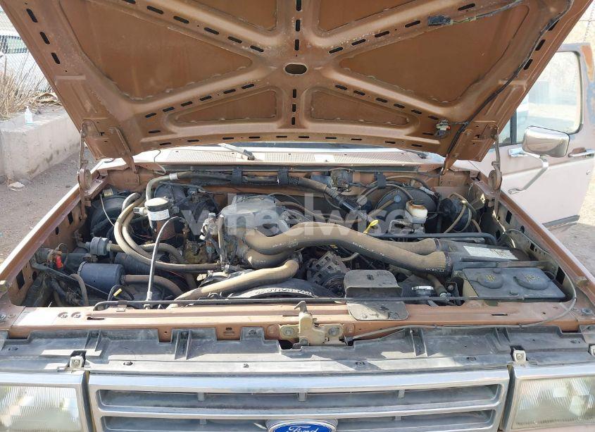 Photo 10 of 1989 Ford F150 (VIN 1FTDF15N1KPB38828)