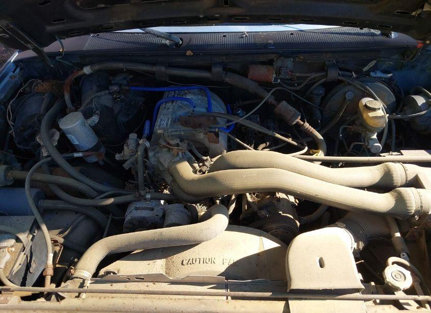 Photo 10 of 1989 Ford F150 (VIN 1FTDF15N3KNA79230)