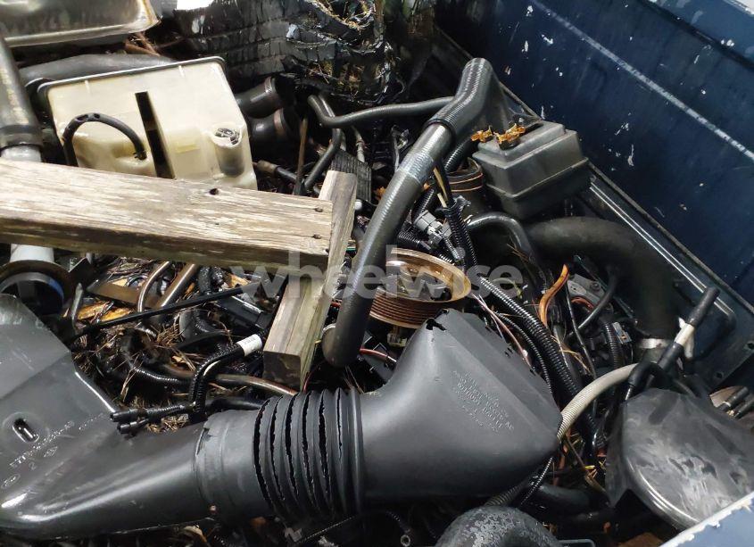 Photo 12 of 1989 Ford F150 (VIN 1FTDF15N8KNA43274)