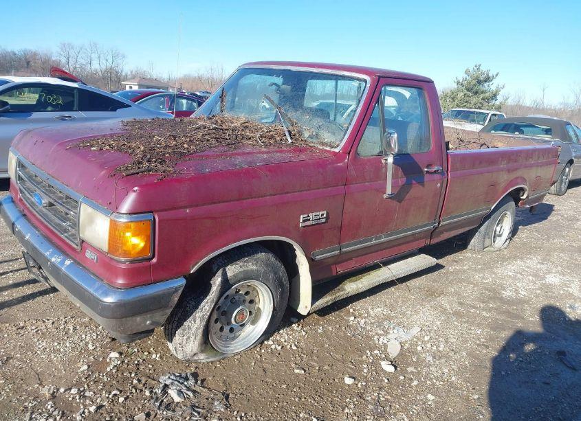 Photo 2 of 1991 Ford F150 N/A (VIN 1FTDF15Y1MLA65481)