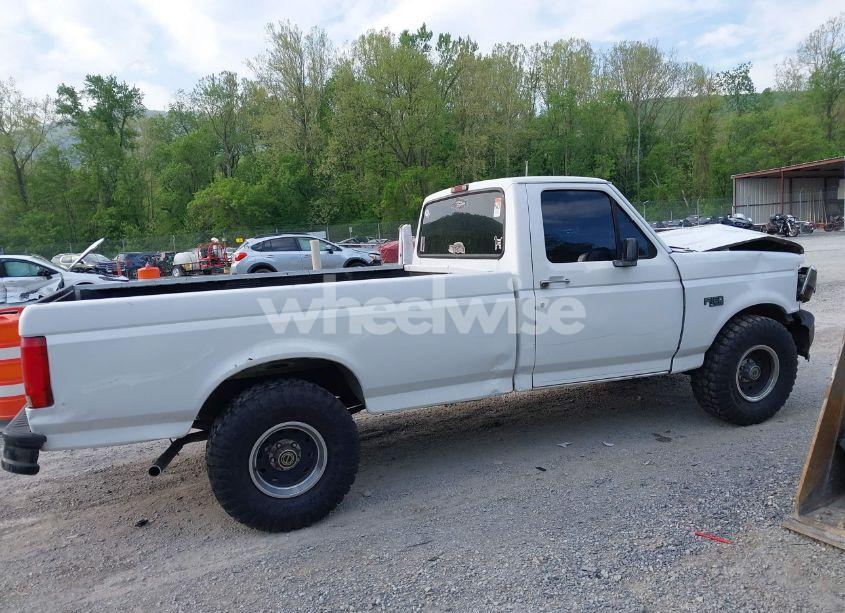 Photo 13 of 1995 Ford F150 (VIN 1FTDF15Y2SNA03900)
