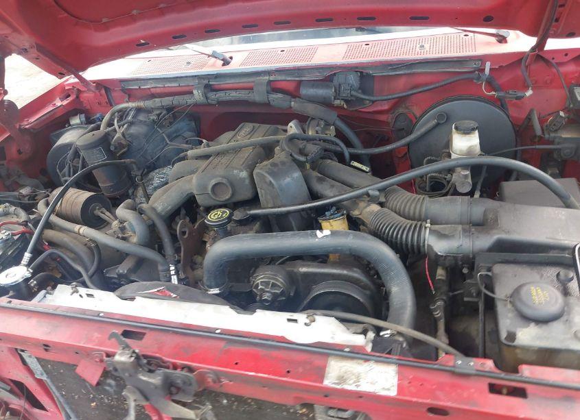 Photo 10 of 1993 Ford F150 N/A (VIN 1FTDF15Y3PNA08501)