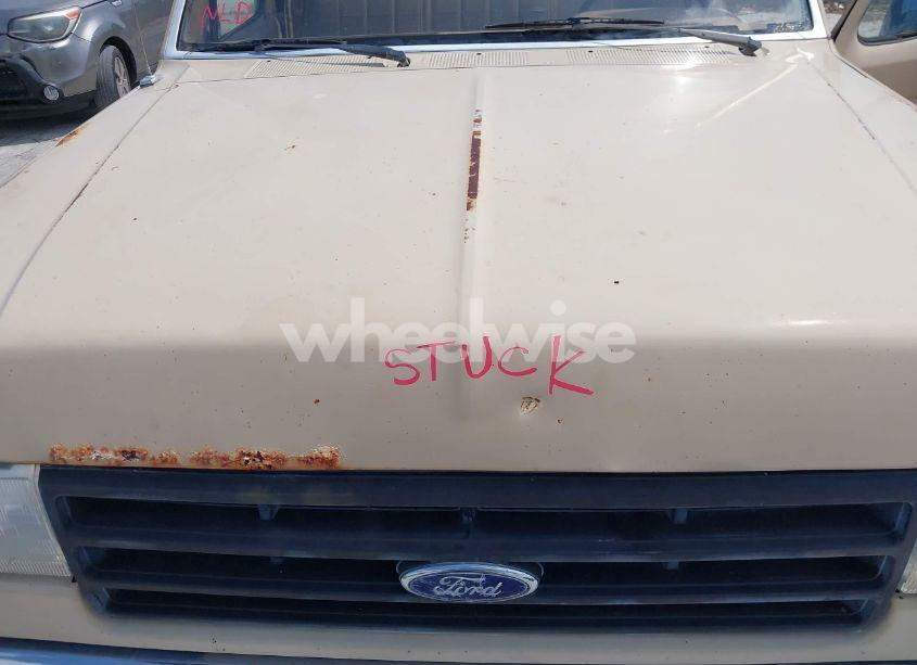 Photo 10 of 1988 Ford F150 (VIN 1FTDF15Y7JNA79417)