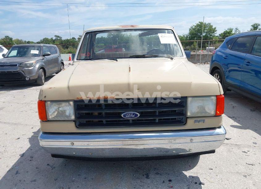 Photo 12 of 1988 Ford F150 (VIN 1FTDF15Y7JNA79417)