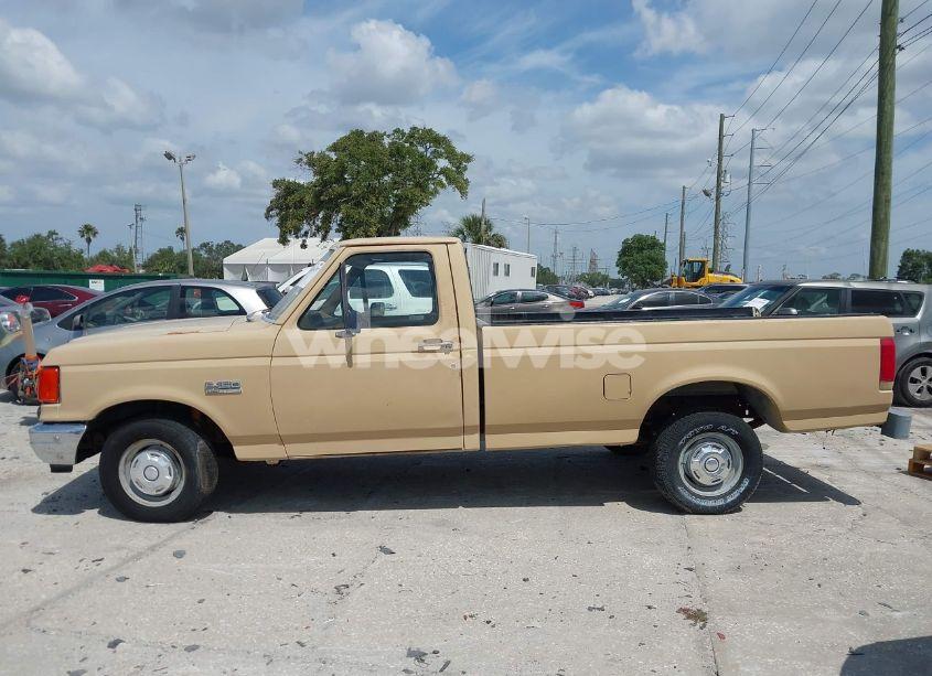 Photo 14 of 1988 Ford F150 (VIN 1FTDF15Y7JNA79417)
