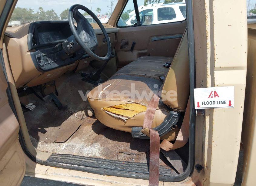 Photo 6 of 1988 Ford F150 (VIN 1FTDF15Y7JNA79417)