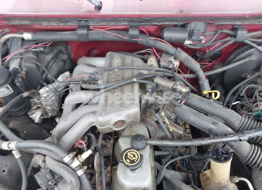 Photo 10 of 1990 Ford F150 N/A (VIN 1FTDF15Y7LLB31658)