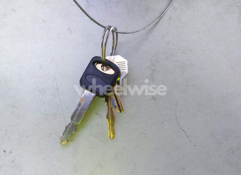 Photo 11 of 1992 Ford F150 (VIN 1FTDF15Y7NPA70761)