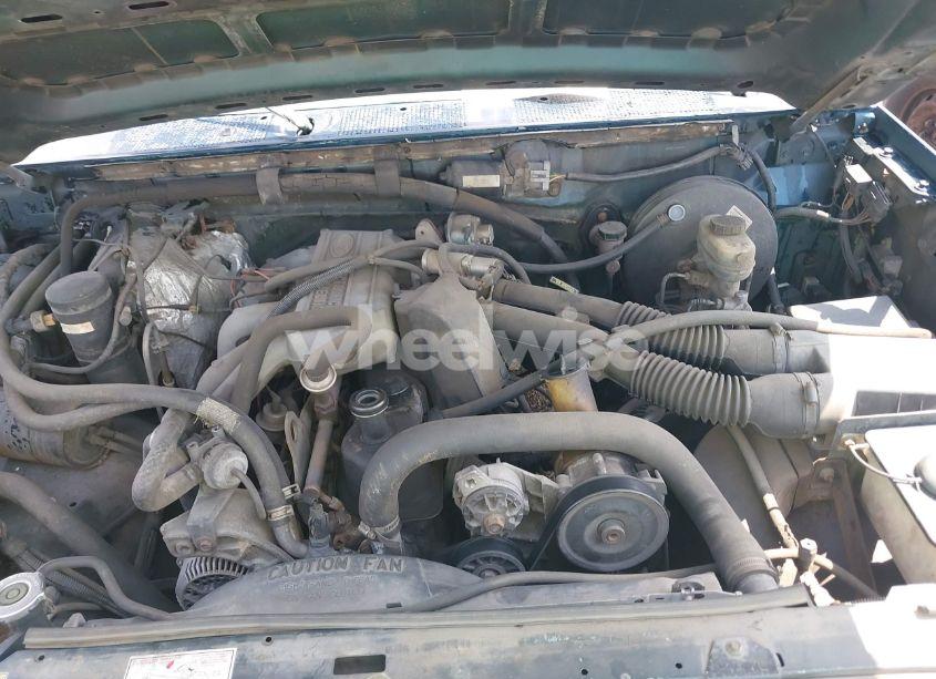 Photo 10 of 1995 Ford F150 (VIN 1FTDF15Y7SLA46995)