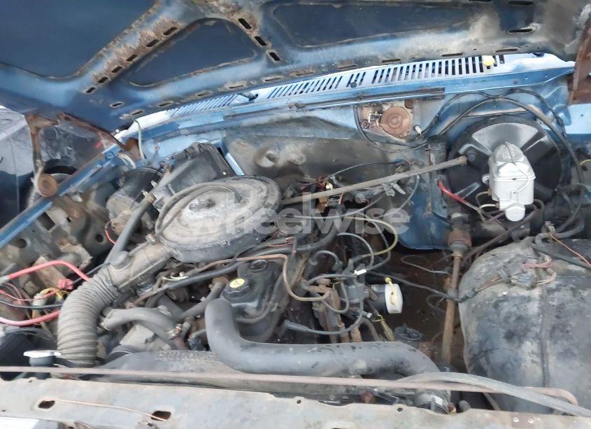 Photo 10 of 1985 Ford F150 (VIN 1FTDF15Y9FLA17262)