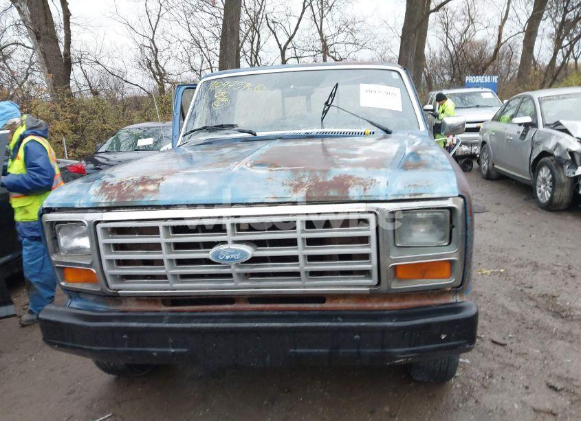 Photo 12 of 1985 Ford F150 (VIN 1FTDF15Y9FLA17262)
