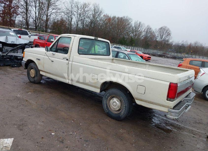 Photo 3 of 1990 Ford F150 N/A (VIN 1FTDF15Y9LLA60740)