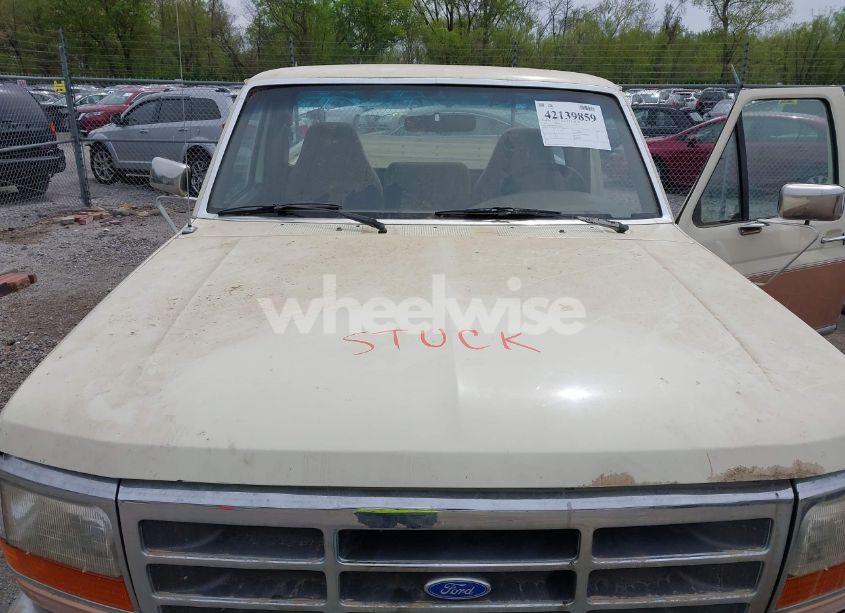 Photo 10 of 1994 Ford F150 N/A (VIN 1FTEF14HXRLA47820)