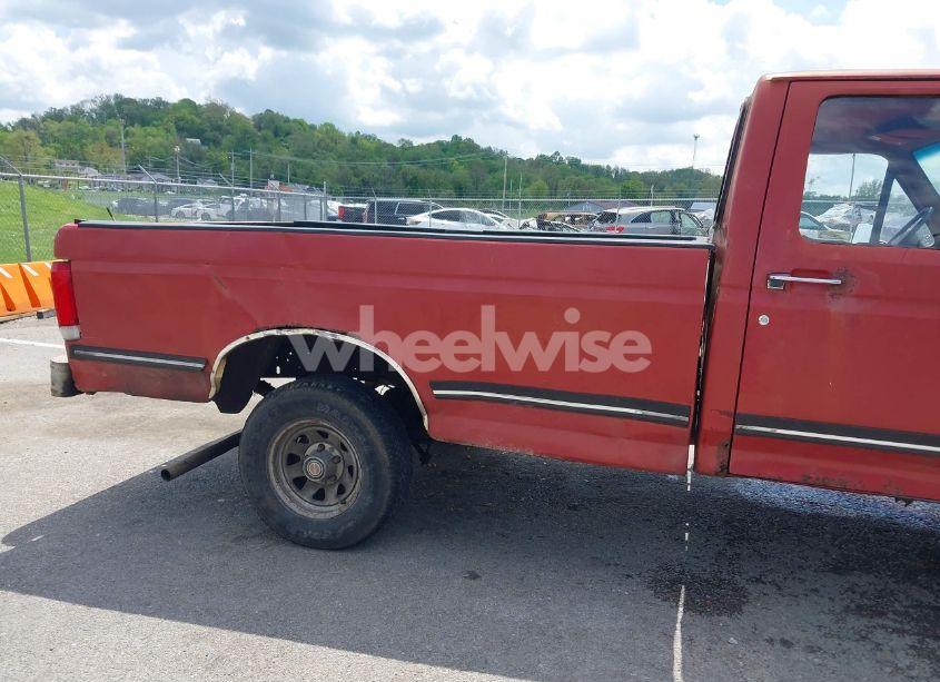 Photo 13 of 1989 Ford F150 (VIN 1FTEF14N0KLA44582)