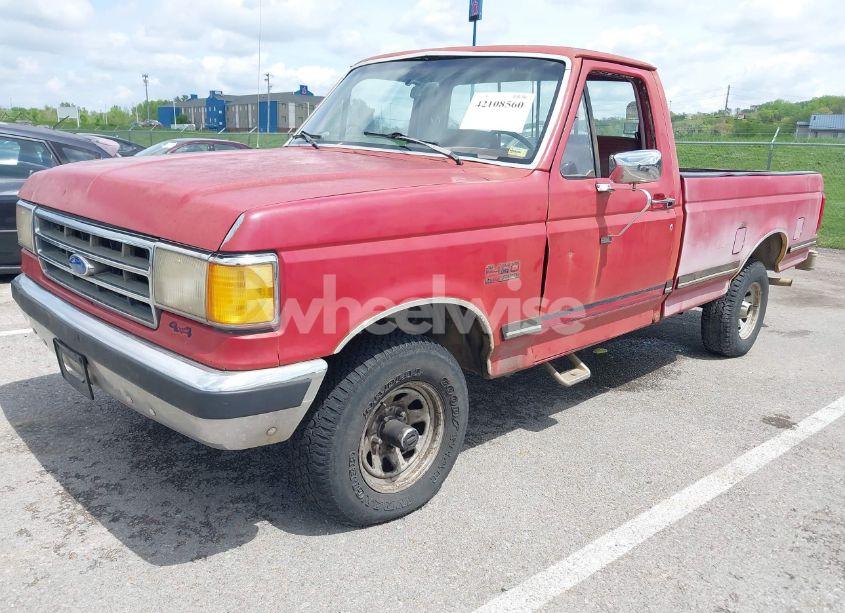 Photo 2 of 1989 Ford F150 (VIN 1FTEF14N0KLA44582)