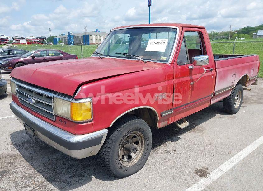 Photo 6 of 1989 Ford F150 (VIN 1FTEF14N0KLA44582)