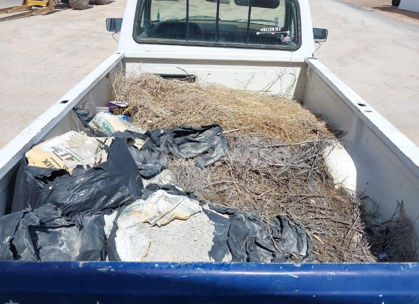 Photo 8 of 1990 Ford F150 N/A (VIN 1FTEF14N0LKA50583)