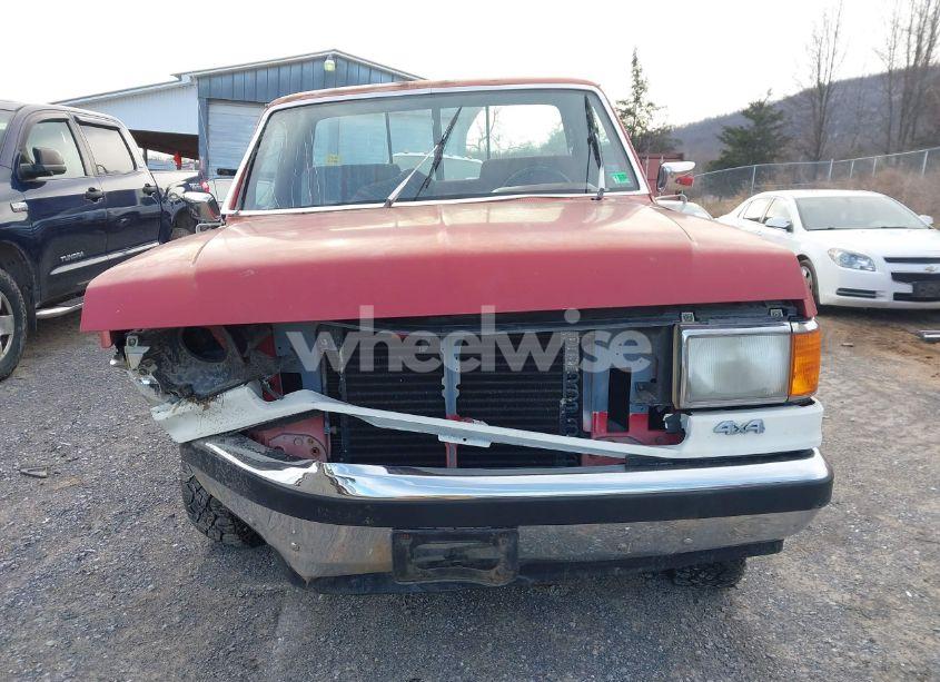 Photo 13 of 1990 Ford F150 N/A (VIN 1FTEF14N1LNA81582)