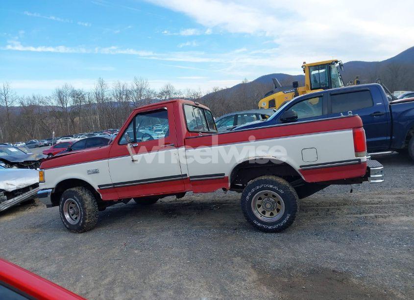 Photo 15 of 1990 Ford F150 N/A (VIN 1FTEF14N1LNA81582)