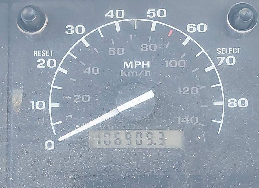 Photo 7 of 1995 Ford F150 N/A (VIN 1FTEF14N3SNB46124)