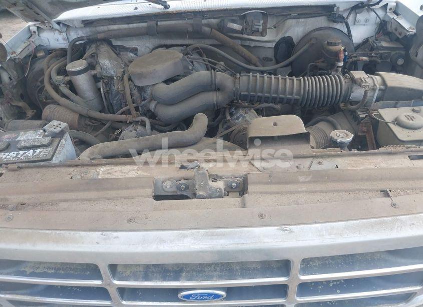 Photo 10 of 1995 Ford F150 (VIN 1FTEF14N6SNA28231)