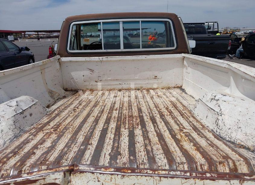 Photo 8 of 1983 Ford F150 (VIN 1FTEF14Y0DPA26492)