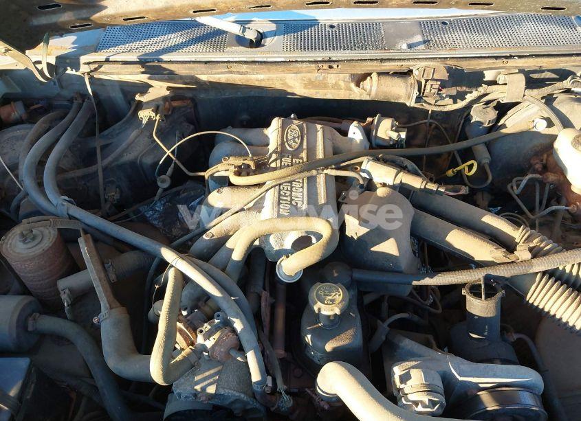 Photo 10 of 1989 Ford F150 (VIN 1FTEF14Y7KNB36318)