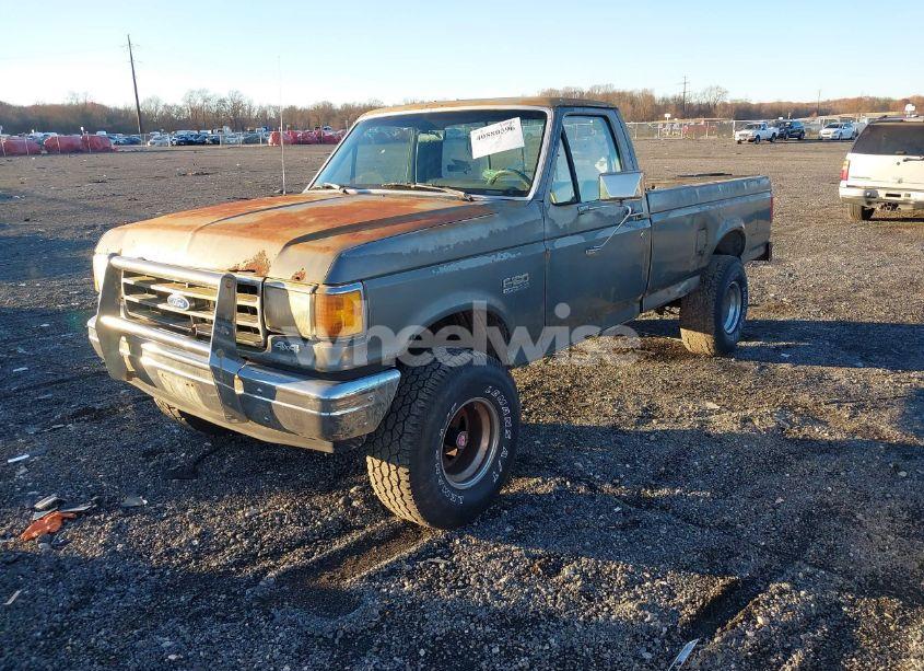 Photo 2 of 1989 Ford F150 (VIN 1FTEF14Y7KNB36318)