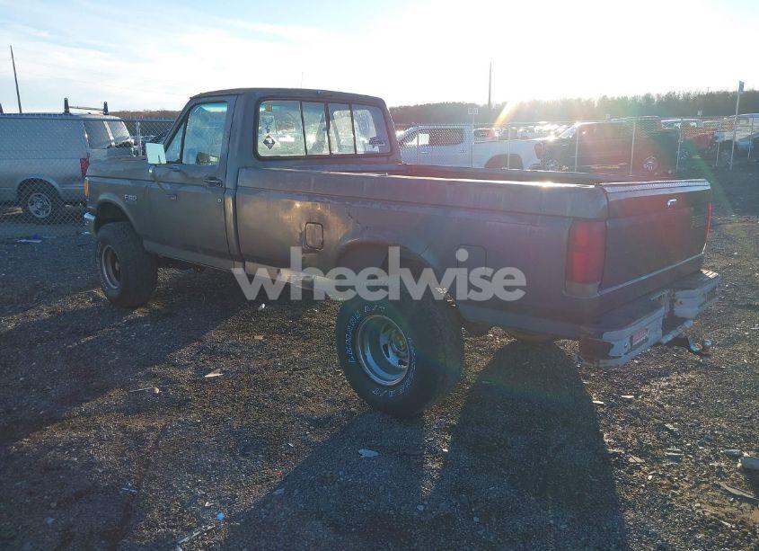 Photo 3 of 1989 Ford F150 (VIN 1FTEF14Y7KNB36318)
