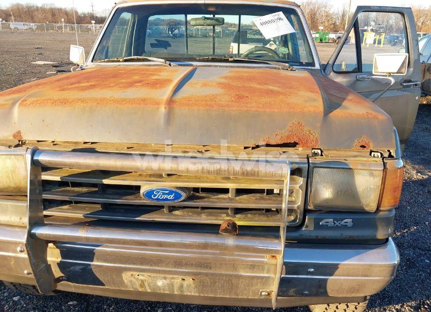 Photo 6 of 1989 Ford F150 (VIN 1FTEF14Y7KNB36318)