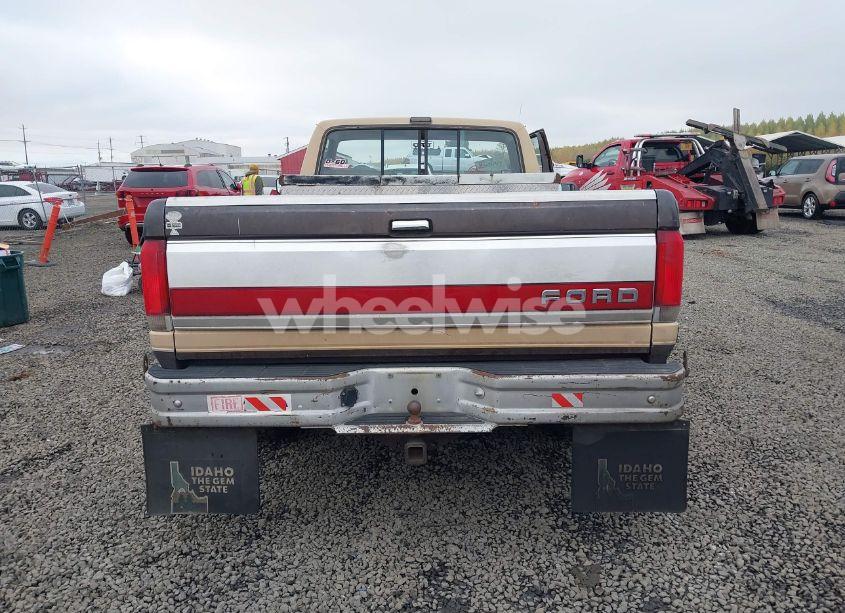 Photo 16 of 1988 Ford F150 (VIN 1FTEF14Y8JKA48703)