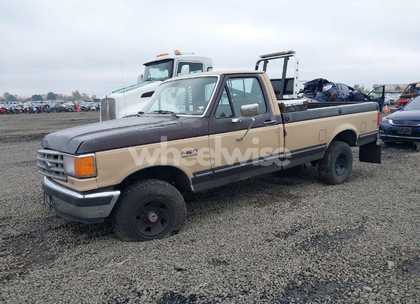 Photo 2 of 1988 Ford F150 (VIN 1FTEF14Y8JKA48703)