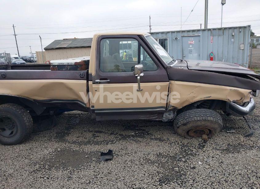 Photo 6 of 1988 Ford F150 (VIN 1FTEF14Y8JKA48703)