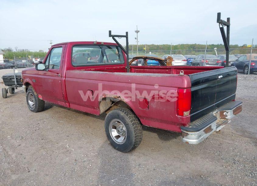 Photo 3 of 1995 Ford F150 (VIN 1FTEF14Y9SNA08419)