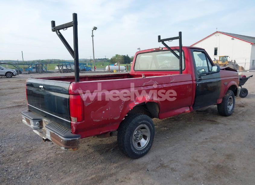 Photo 4 of 1995 Ford F150 (VIN 1FTEF14Y9SNA08419)