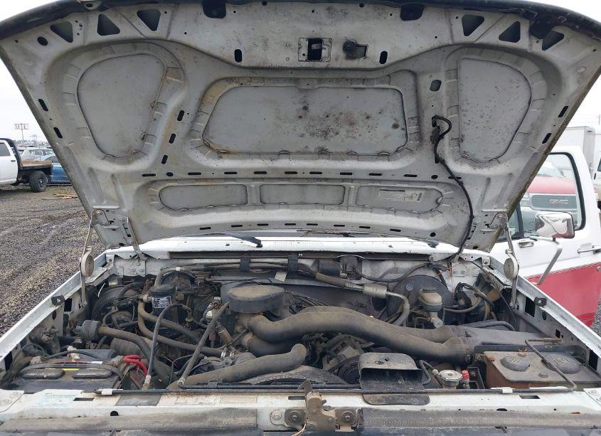 Photo 10 of 1992 Ford F150 (VIN 1FTEF15H6NPA20759)