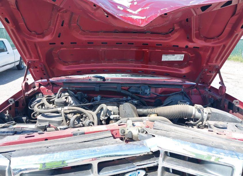 Photo 10 of 1996 Ford F150 (VIN 1FTEF15Y2TLB52499)