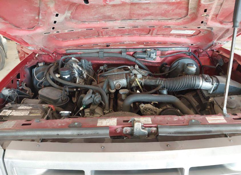Photo 10 of 1996 Ford F150 (VIN 1FTEF15Y6TLB89667)
