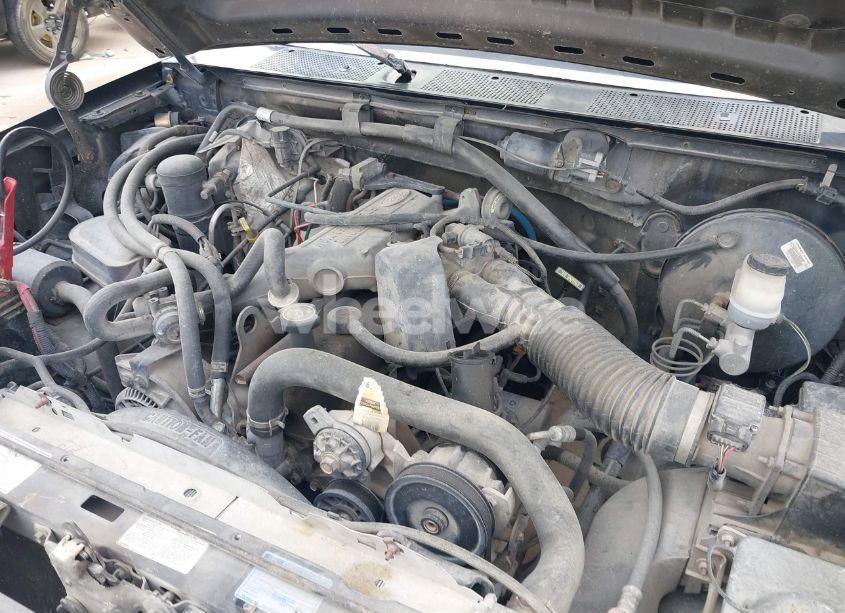 Photo 10 of 1996 Ford F150 (VIN 1FTEF15Y7TLB69931)