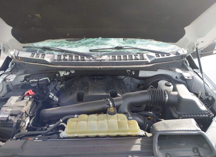 Photo 10 of 2019 Ford F-150 XLT (VIN 1FTEW1C42KFC29692)