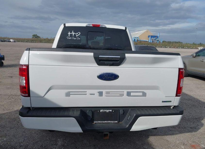 Photo 16 of 2019 Ford F-150 XLT (VIN 1FTEW1C42KFC29692)