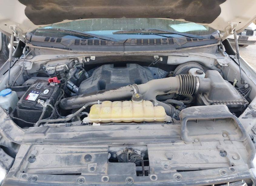 Photo 10 of 2019 Ford F-150 XLT (VIN 1FTEW1C42KKE76248)