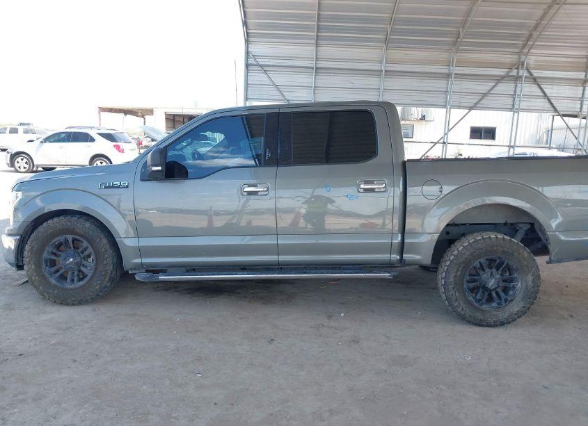 Photo 14 of 2019 Ford F-150 XLT (VIN 1FTEW1C42KKE76248)