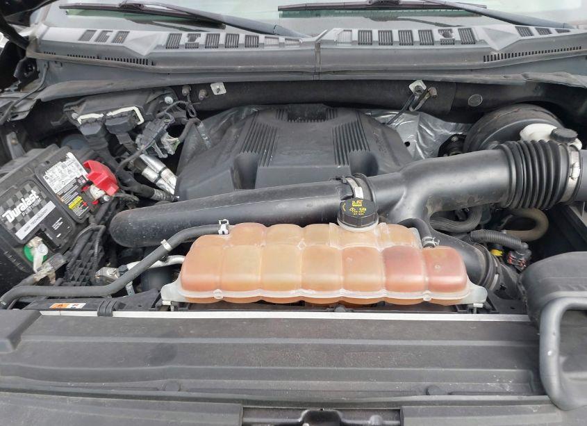 Photo 10 of 2019 Ford F-150 XLT (VIN 1FTEW1C46KKC52481)