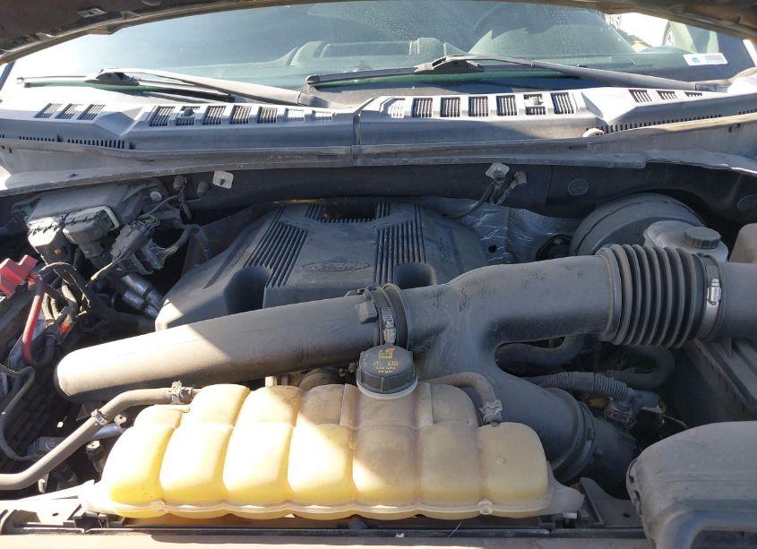 Photo 10 of 2019 Ford F-150 XLT (VIN 1FTEW1C48KKC52577)