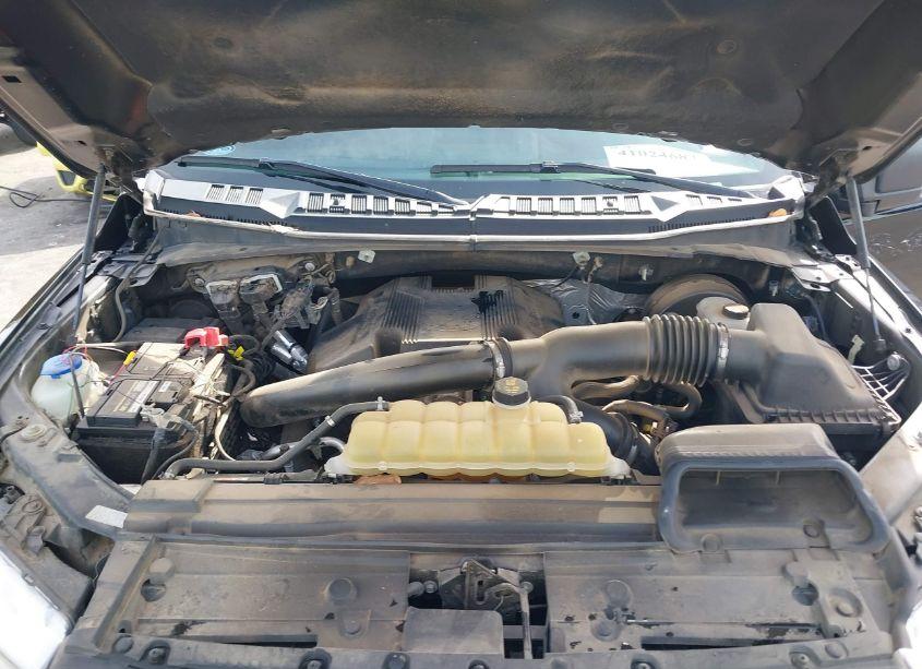 Photo 10 of 2019 Ford F-150 XLT (VIN 1FTEW1C49KKE90129)