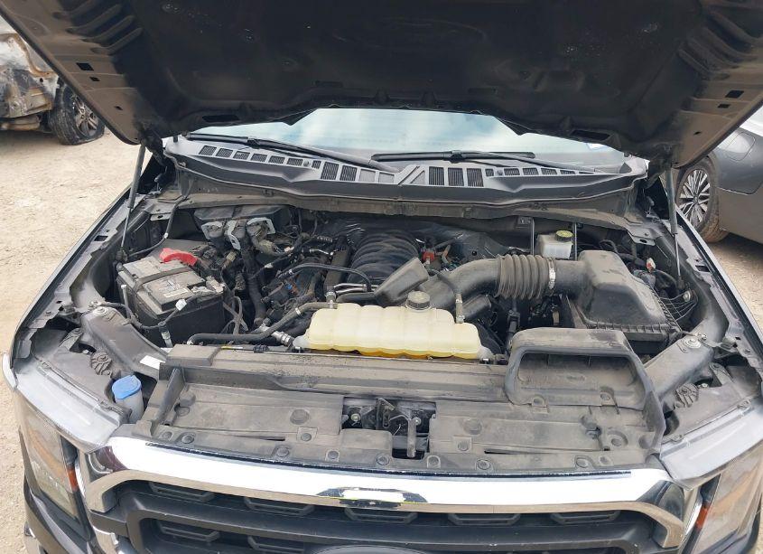 Photo 10 of 2023 Ford F-150 XLT (VIN 1FTEW1C50PKD34481)