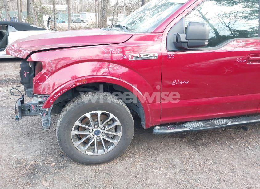 Photo 18 of 2018 Ford F-150 XLT (VIN 1FTEW1C51JKD12545)