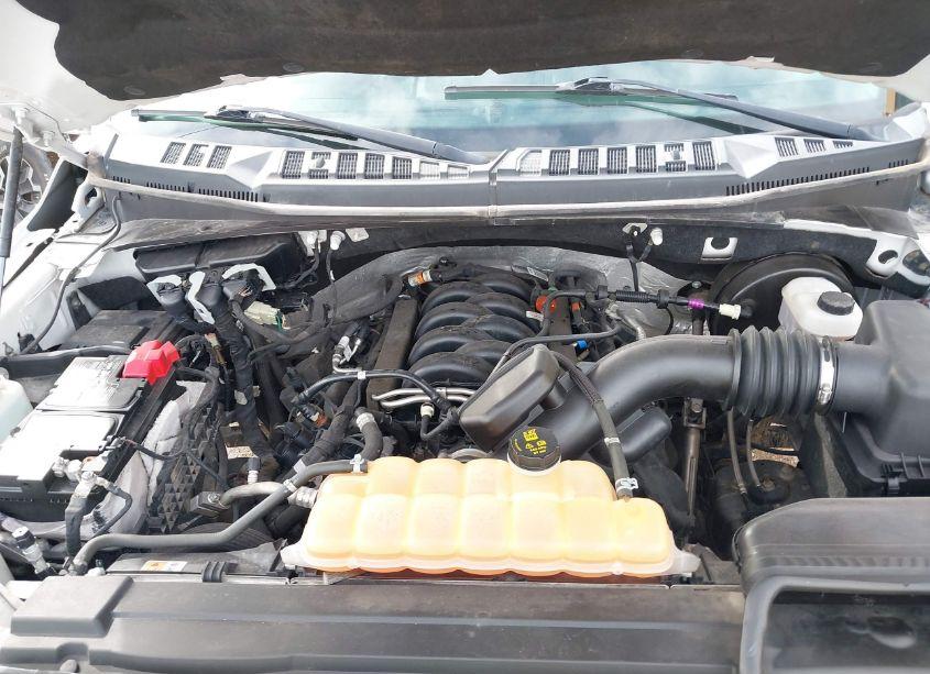 Photo 10 of 2018 Ford F-150 XLT (VIN 1FTEW1C51JKD54617)