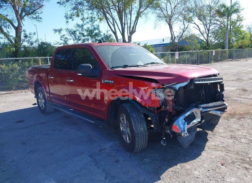 2019 Ford F-150 XLT (VIN 1FTEW1C51KFC60781) main photo